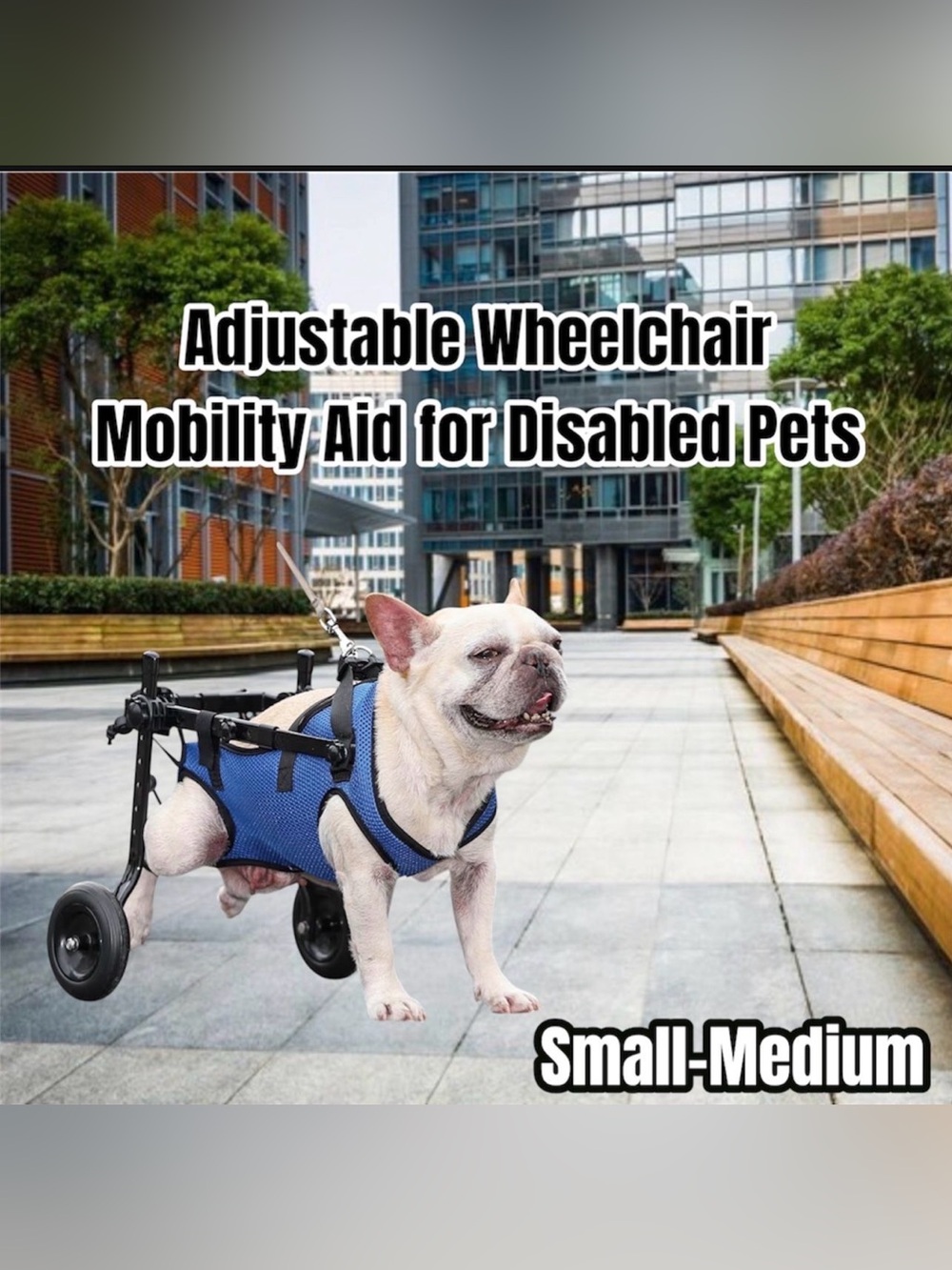 Adjustable Dog Wheelchair Mobility Aid for Disabled Pets - Blue - Small/Medium